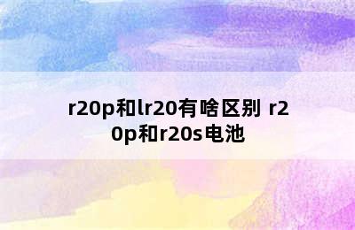 r20p和lr20有啥区别 r20p和r20s电池